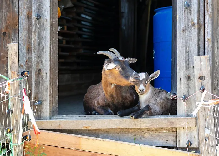 Apartmán Seppen 2 Und 3